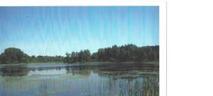xxx Fools Lake Drive Drive
