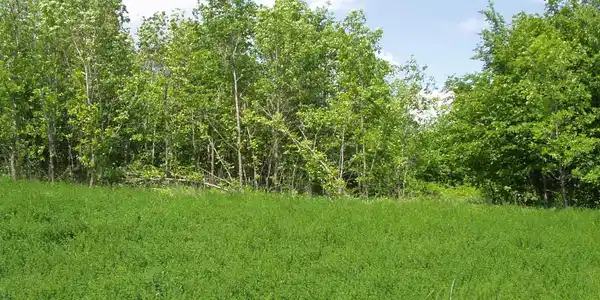 Lot 14 Blk 1 W Stalker Road