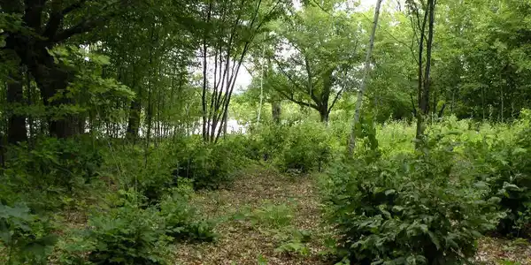 XXX Crooked Lake Lane SW