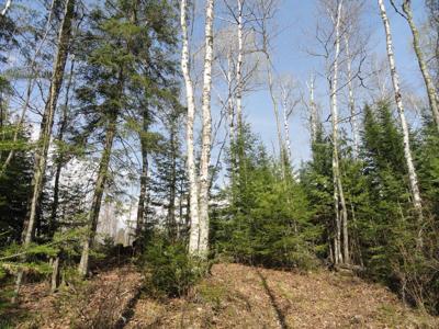 6047 Voyageurs Trail