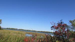 Lot 87 Co Hwy 131