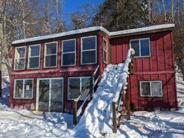 3007 Pine