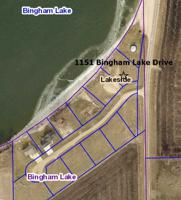 1151 Bingham Lake