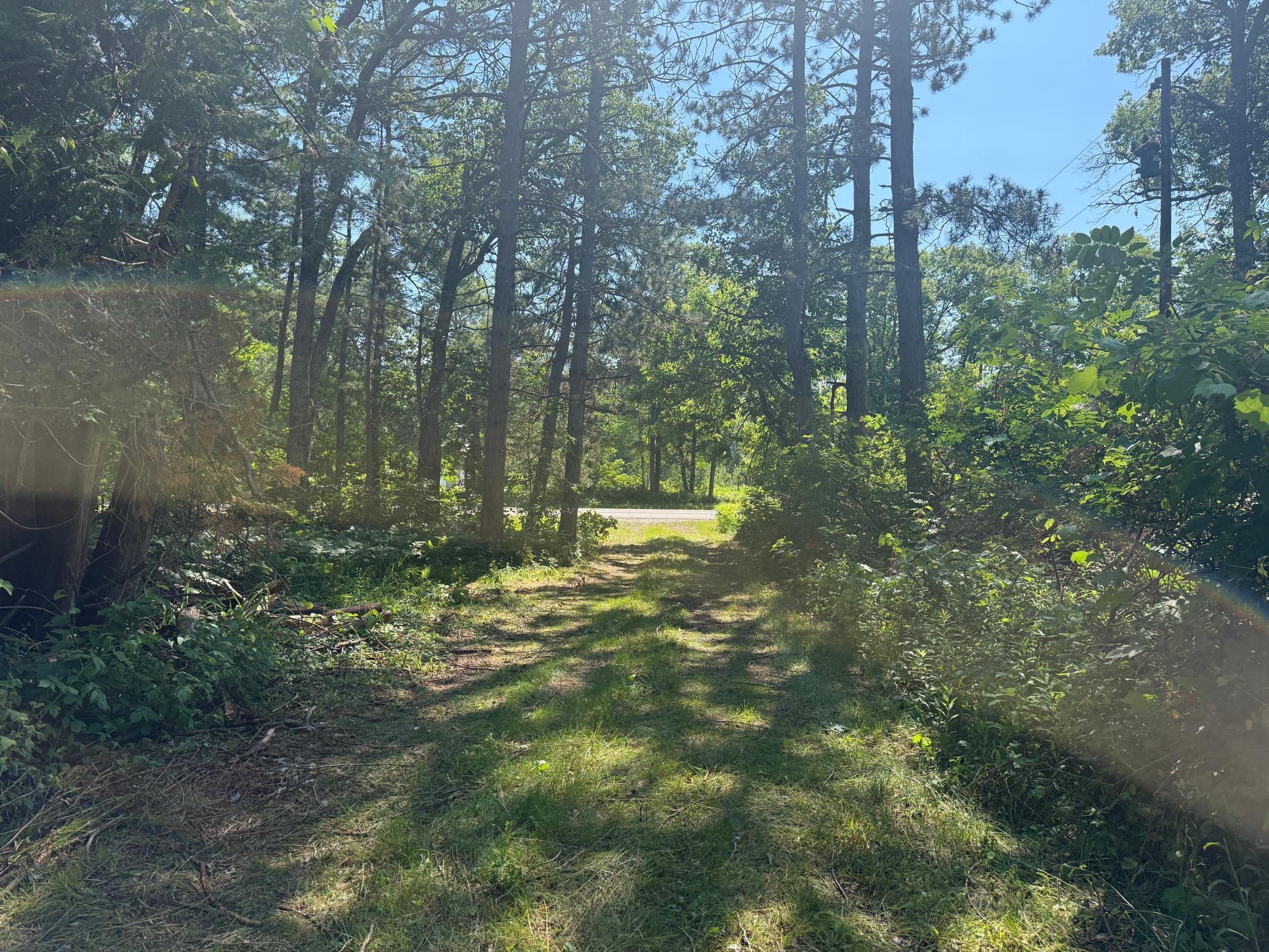 Image 3 Image 3