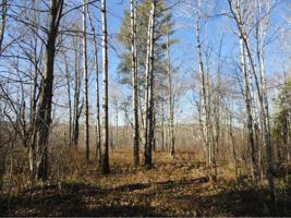 6199 Voyageurs Trail
