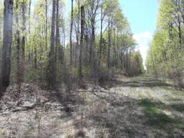 TBD Cingmars Township