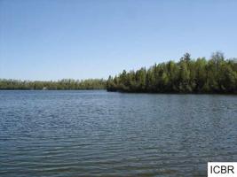 TBD HORSESHOE LAKE Road