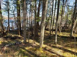 TBD Bald Eagle Drive