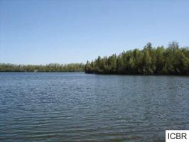 TBD HORSESHOE LAKE Road