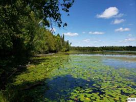 TBD HORSESHOE LAKE RD