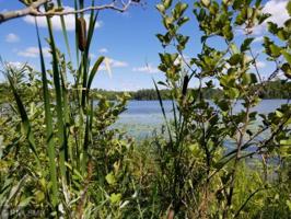 TBD Burns Lake Rd