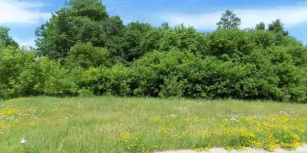 TBD Timber Ridge Lane