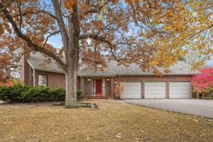 11627 Mount Curve