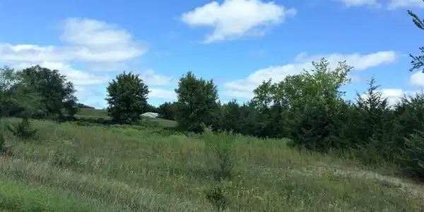 Lot 7 56th Street NE