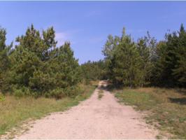 E2SW&SENW County Road 95