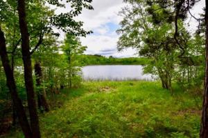 TBD Bigfork Trail