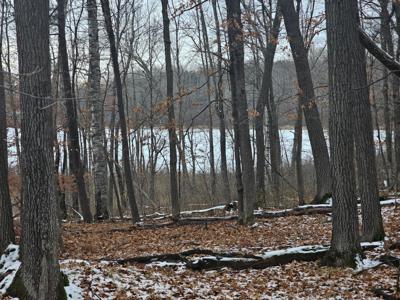 TBD Cranberry Lake
