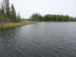 TBD County 5