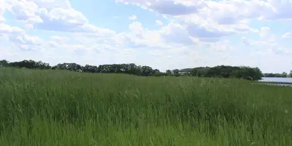 Lot 4 Copper Landing Drive