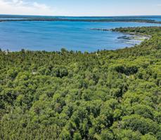 TBD Ojibwa