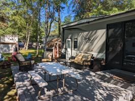 30365 Whitebirch