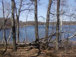 283xx Lot 5 135th Street NW