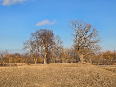 Lot 8 Branch Creek Road