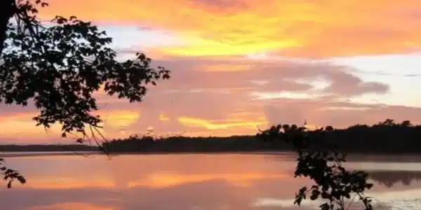 30196 Dam Lake