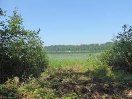 TBD County 49