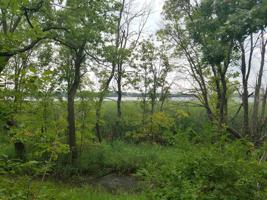 TBD Woodchuck Lane