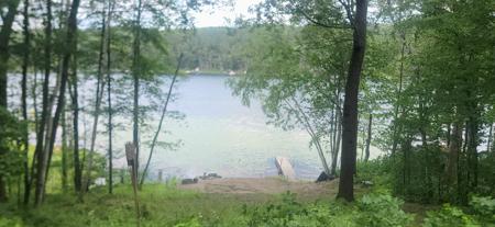 2846 White Pine Lane