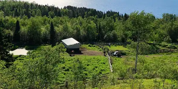 5855 Highway 61