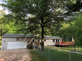 25884 Timber