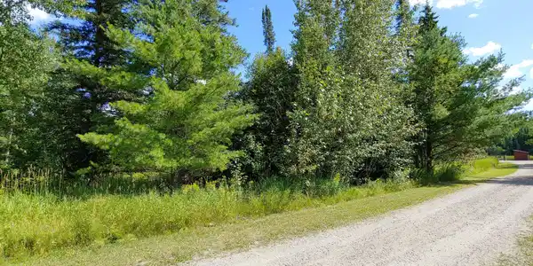 10339-Lot 10 Ash River Trail