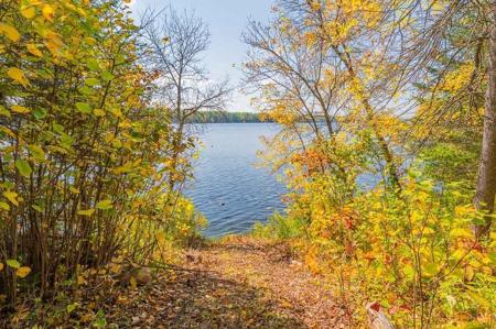 Xxx Long Lake