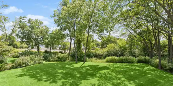 Image 4 Image 4
