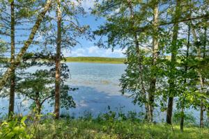 000 Rice Portage Trail