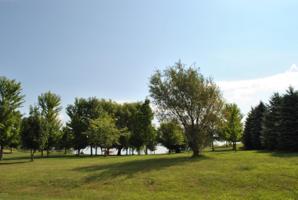 6 A Pheasant Drive