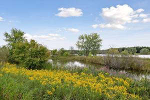 733 Markgrafs Lake Draw