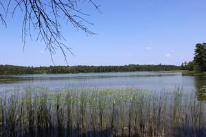 TBD Heritage Trail