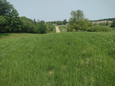 Lot 1 Block 3 Crystal Beach Road