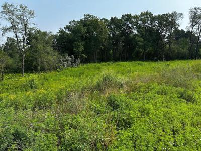 10 Pondview Trail