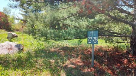 88034 Sweet Fern Loop