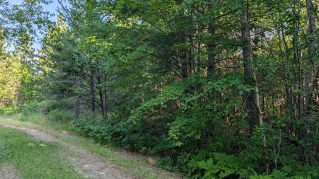 Lot B Hwy. 24