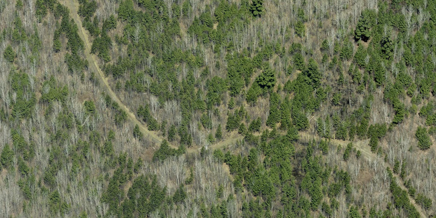 Image 3 Image 3