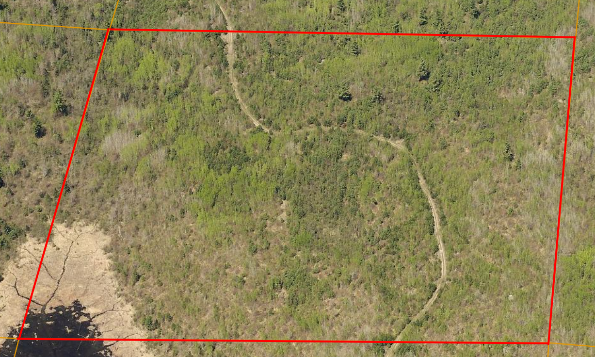 Image 4 Image 4