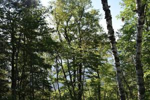 TBD Tract A Wabedo Pass Road NE