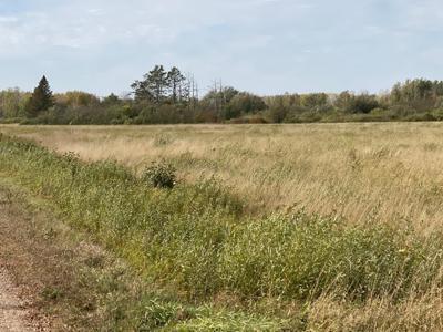 XXXX Silver Creek Road