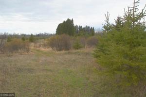XxXX County Rd 81