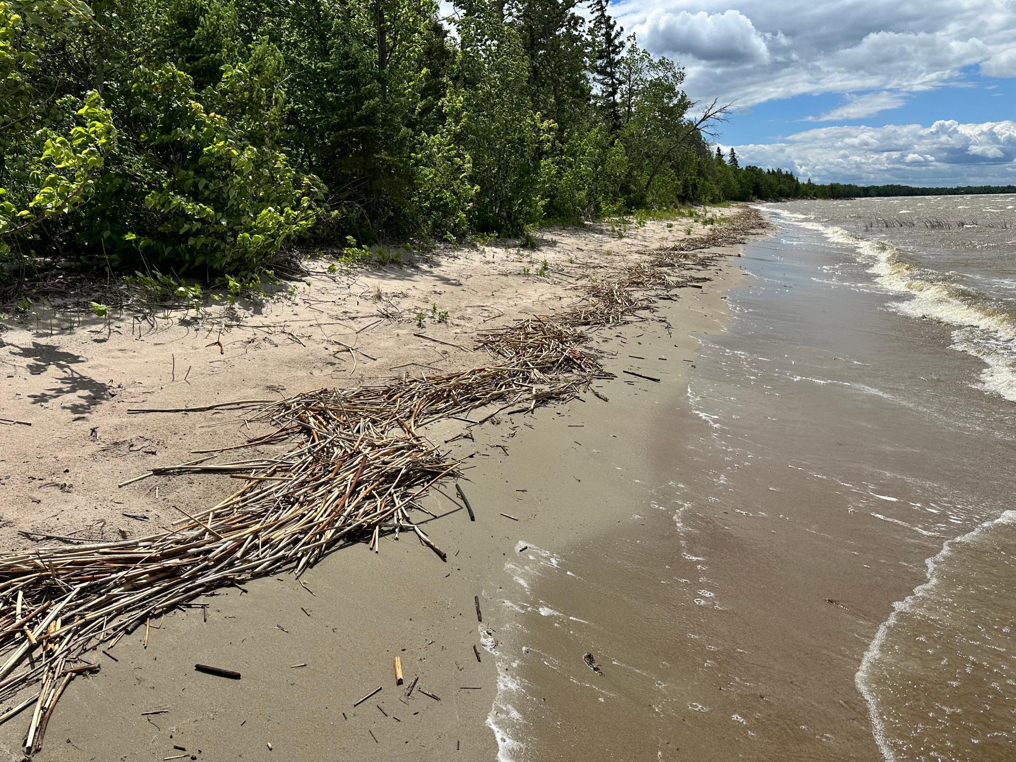 Image 1 Image 1